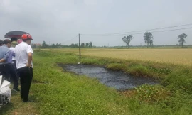 Xác định nghi phạm đổ chất thải độc hại ra mương nước khiến cây cỏ chết cháy