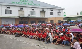 Vụ chủ doanh nghiệp Đài Loan biến mất cùng cục nợ 30 tỷ: Cty có lãnh đạo mới