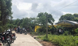 Đám tang 2 bố con cách nhau 10m trong vườn nhà