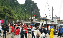 Vịnh Hạ Long: Phí liên tục tăng 'ngất ngưởng', chất lượng dịch vụ 'giậm chân'