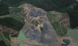 Phó thủ tướng yêu cầu làm rõ tình trạng khai thác than 'đội lốt' dự án