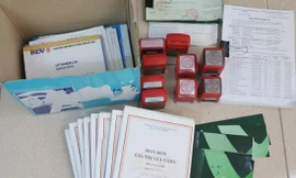 Nữ 'doanh nhân' điều hành 7 công ty ma bán hơn 2.500 tỷ hóa đơn giả