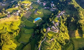 Bay trên mùa vàng Bình Liêu