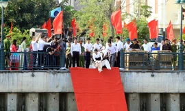 Đông người đến ngắm 65 đôi thiên nga được thả trên sông Tam Bạc