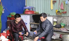 Tôm chết được bơm tạp chất tuồn lên 'bàn nhậu'