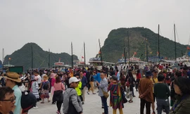 Đề xuất tăng gần gấp đôi phí tham quan vịnh Hạ Long