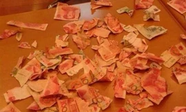 Số tiền tiết kiệm của gia đình bị cậu con trai 4 tuổi xé nát