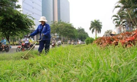 Công nhân của doanh nghiệp hoạt động công ích đối mặt với nguy cơ dôi dư lao động.