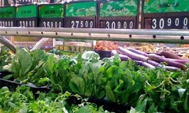 Hoa mắt với “tem” rau