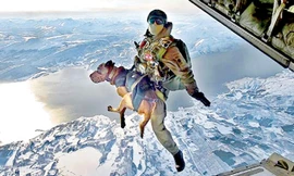 Giải cứu binh nhì 4 chân