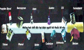 Những hóa chất độc hại có trong khói thuốc lá được người hút thuốc hít vào.