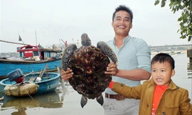 Cha con anh Nguyễn Văn Đoàn giao lại con rùa quý hiếm cho cơ quan chức năng để thả về lại biển.