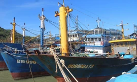 Dự kiến đầu tháng 11 tới, các tàu cá bị hư hỏng sẽ được sửa chữa, khắc phục xong để hạ thủy, vươn khơi.