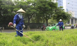 Công nhân Cty Công viên cây xanh cắt cỏ trên đường Trần Duy Hưng. Ảnh: Trường Phong.