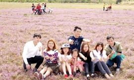 Cánh đồng hoa tím thu hút nhiều bạn trẻ tìm đến.