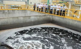 Chất thải của nhà máy Formosa có chứa các độc tố Phenol, Xyanua. Hydroxit sắt