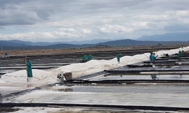 Cánh đồng muối Quán Thẻ.