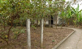 Ngôi nhà của Bá Kiến bây giờ. Ảnh: Đỗ Đức.