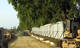 Nếu buộc phải chặt, di dời thì nên xã hội hóa