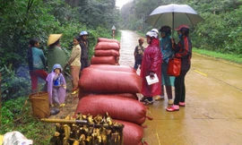 Bà con bán cà phê ngay trên đường.