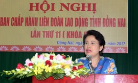 Phó Bí thư Tỉnh ủy Đồng Nai 'chống lưng' cho công ty của chồng ra sao?