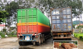 Gỗ giáng hương nhập khẩu khai báo là... cà phê