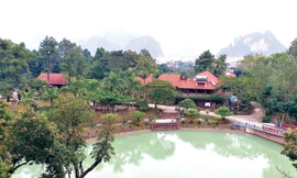 Hàng chục công trình trái phép được xây dựng trên đất trồng rừng.