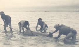 Toàn đội tiến hành kéo thủy lôi vào bờ 14/5/1972.