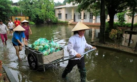 Ngập lụt ở xã Nam Phương Tiến, Chương Mỹ, Hà Nội (ảnh chụp ngày 30/7/2018). Ảnh: Trường Phong.
