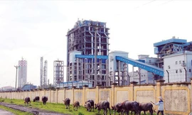 Yêu cầu Tập đoàn Hóa chất gỡ vướng 4 dự án thua lỗ