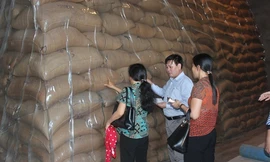 Xin cơ chế đặc biệt hỗ trợ gạo miền Trung