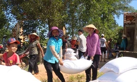 Hỗ trợ gạo cho nhân dân 11 tỉnh dịp Tết