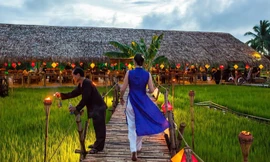 Lối vào không gian chính được dựng trên đồng ruộng mướt xanh.