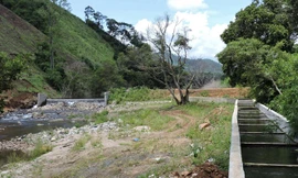 Doanh nghiệp tự ý xây đập ngăn suối, dẫn mương nước nuôi cá tầm.