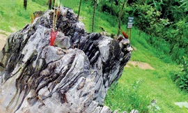 Bản đồ Tổ quốc bằng đá ở Cổng Trời