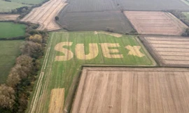 Dòng chữ tỏ tình trên cánh đồng.