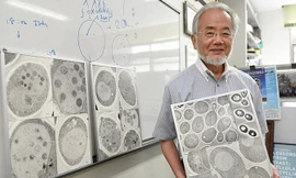 GS Yoshinori Ohsumi - chủ nhân giải Nobel Y học 2016. Ảnh: AP.