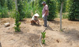 Thầy địa lý chỉ chỗ khoan giếng.