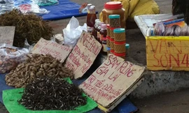 Cẩn trọng với thảo dược bán dạo