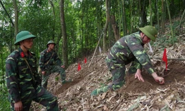 Đại úy Hiếu cẩn trọng thực hiện công việc rà phá mìn. Ảnh: DN.