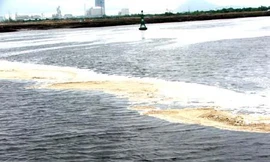 Góp ý báo cáo bảo vệ môi trường sông Thị Vải