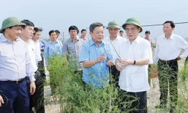 Chủ tịch Quốc hội Nguyễn Sinh Hùng thăm mô hình cây trồng ở Hà Tĩnh. Ảnh: Nhan Sáng.