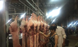 Lẻ loi thịt sạch