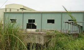 Doanh nghiệp rút khỏi thị trường không hẳn do điều kiện kinh doanh