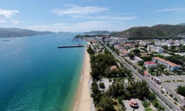 Ảnh minh họa: Internet