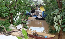 Xóm nổi sông Hồng tiêu điều mùa nước lũ