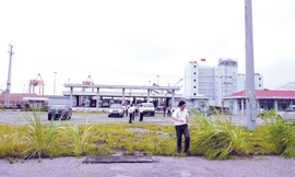 Cỏ mọc um tùm trên nền bê tông của ga Cái Lân. Ảnh: Sỹ Lực.