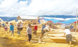 'Thay máu' nguồn nhân lực