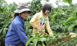 Nhược Nam giúp mẹ làm rẫy.