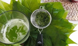 Bị viêm tủy xương vì tự ý đắp lá chữa bệnh